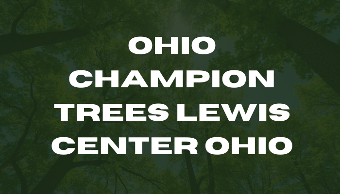 Ohio Champion Trees Near Lewis Center, Ohio: Big Trees Guide!