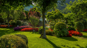 Yard Art Landscaping: Elevating Outdoor Living in the Lowcountry